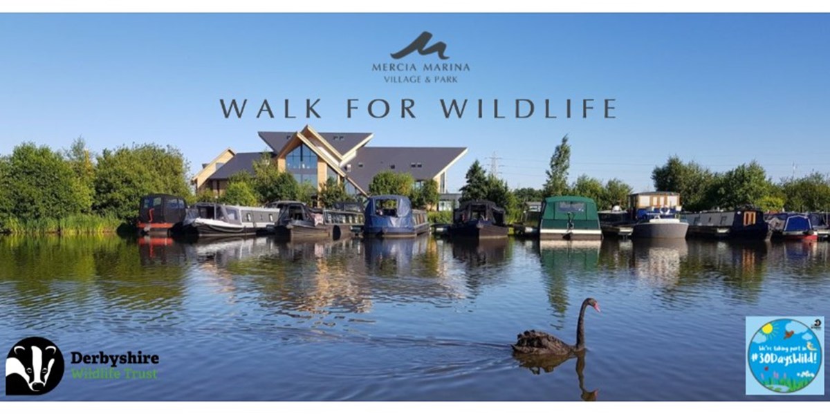 Mercia Marina Is Fundraising For Derbyshire Wildlife Trust