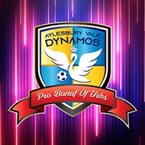 Aylesbury Vale Dynamos FC