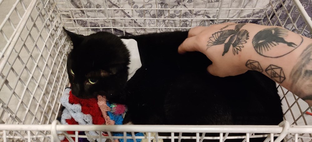 Update from the Page owner