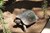Fundraiser icon