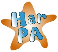 Haringey Play Association