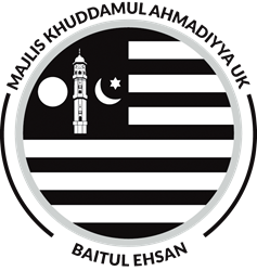 Team logo