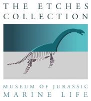 The Etches Collection Museum of Jurassic Marine Life