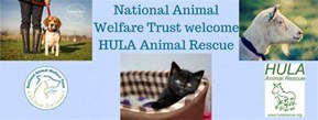 Hula Animal Rescue - JustGiving