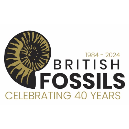 British Fossils' March the Month Team