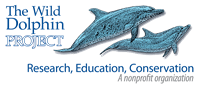 Wild Dolphin Project