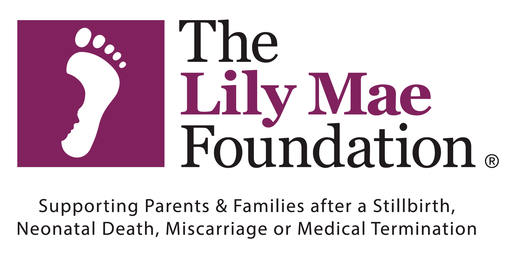 David Slann is fundraising for The Lily Mae Foundation