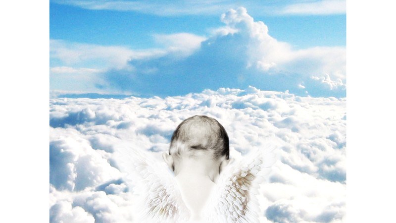 cover photo
