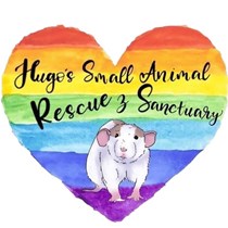 Hugo’s Small Animal Rescue and Sanctuary