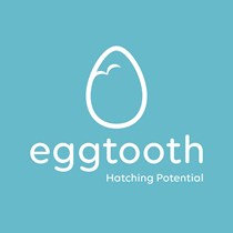 Eggtooth Project Emerging Musicians