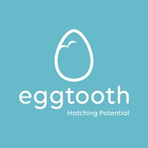 Eggtooth Project Emerging Musicians 