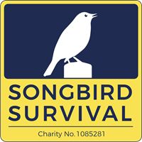 SongBird Survival