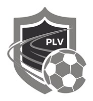 Pro Level Vision