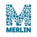 Merlin