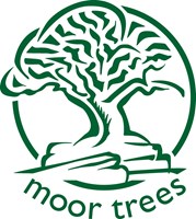 Moor Trees