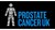 Fundraiser icon