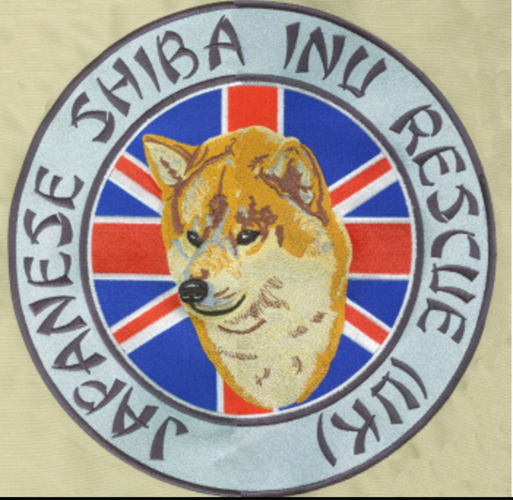 Shiba best sale inu rescue