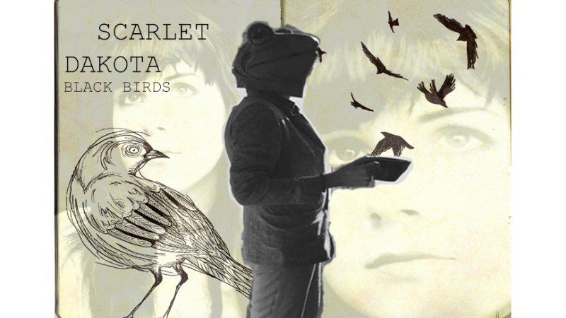 cover photo