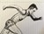 Fundraiser icon