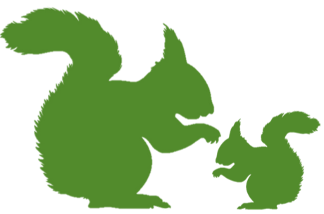 Families Supporting Care