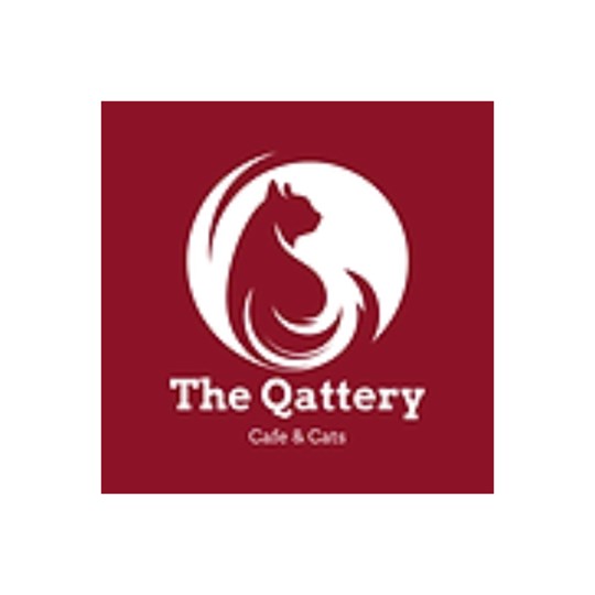 The qattery cafe and cats - Christmas Jumper Day