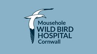 Mousehole Wild Bird Hospital Cornwall
