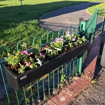 Burtonwood in Bloom