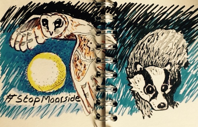 cover photo