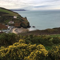 Llangrannog Orchard Fund