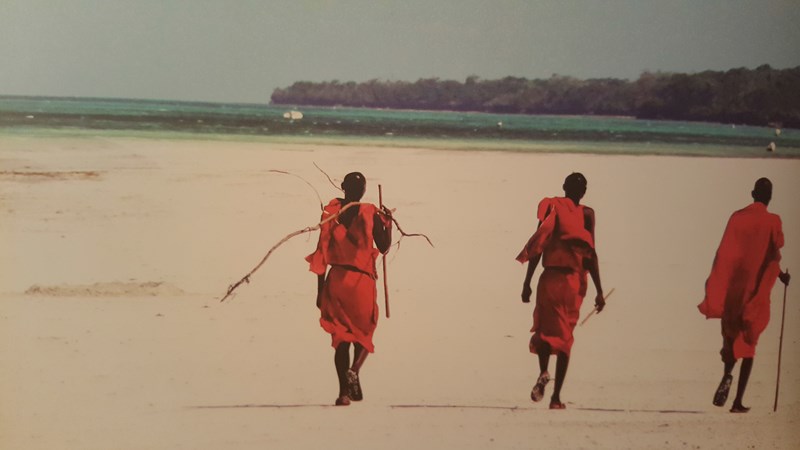cover photo