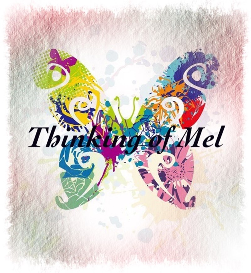 cover photo
