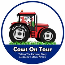 CowsOnTour 