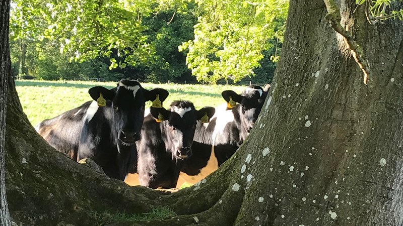Nick and Jo Ranson is fundraising for The Farming Community Network