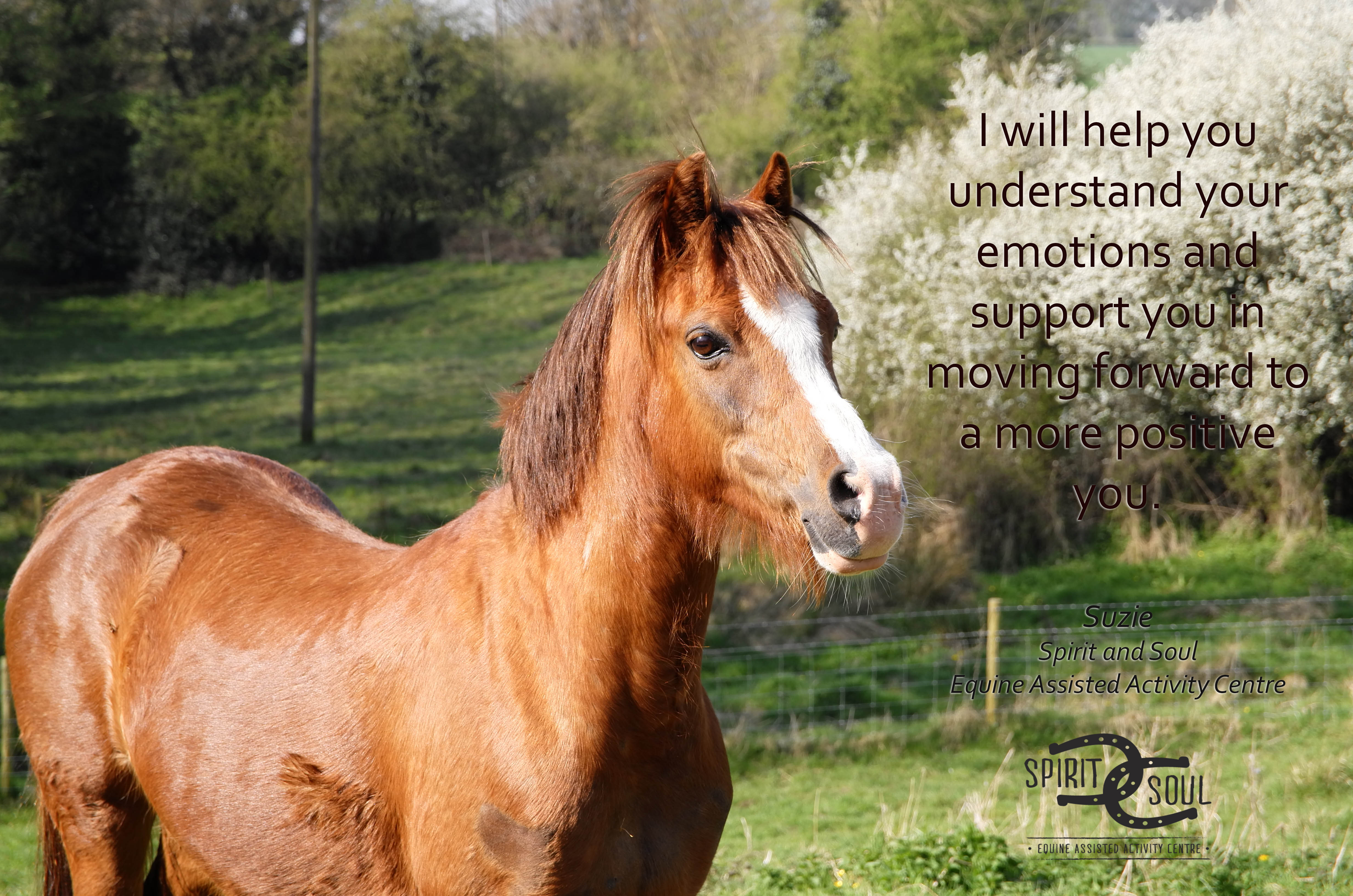 Crowdfunding to To help cover costs of running our service Crowdfunding to To help cover costs of running our service