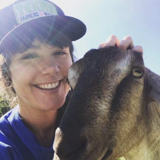 Nora Noodle's  Page