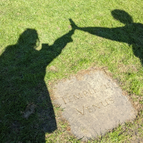 Sammy's Fundraising Page