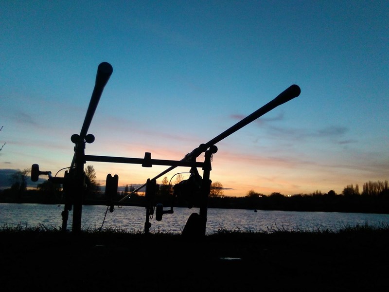cover photo