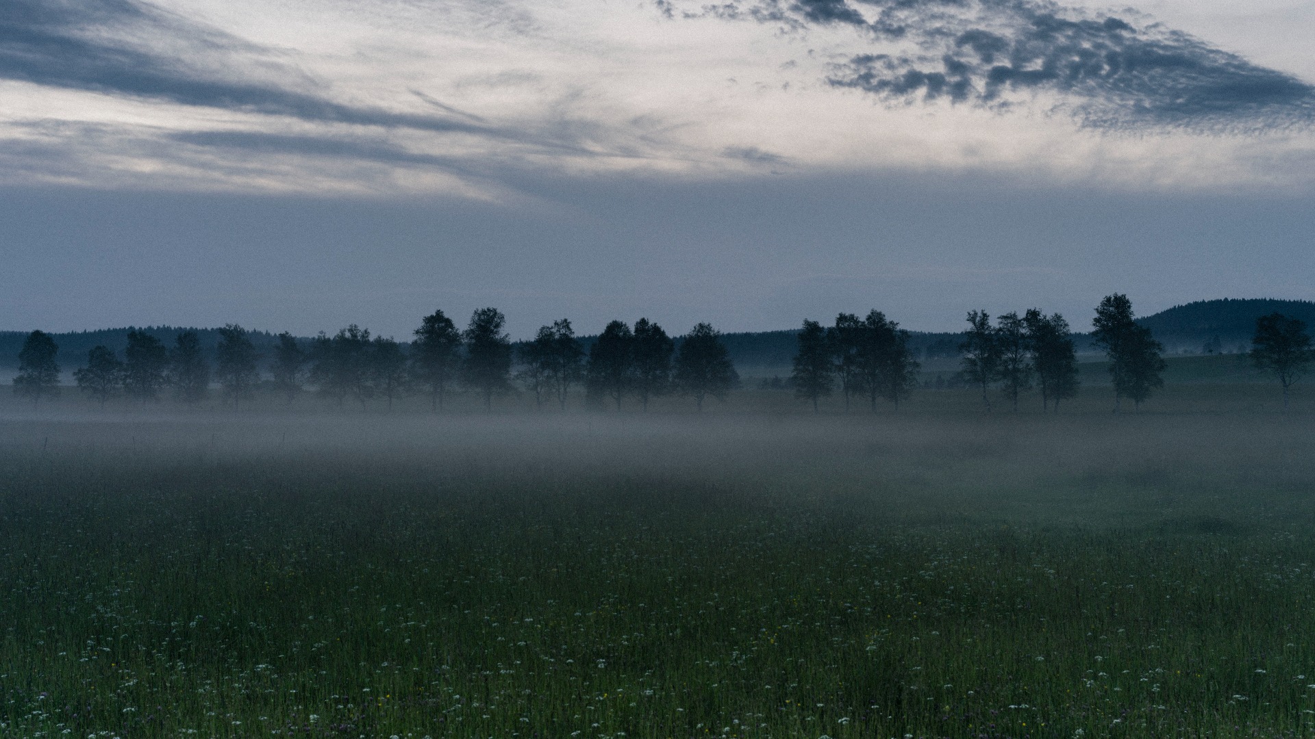 Simba Gill's profile