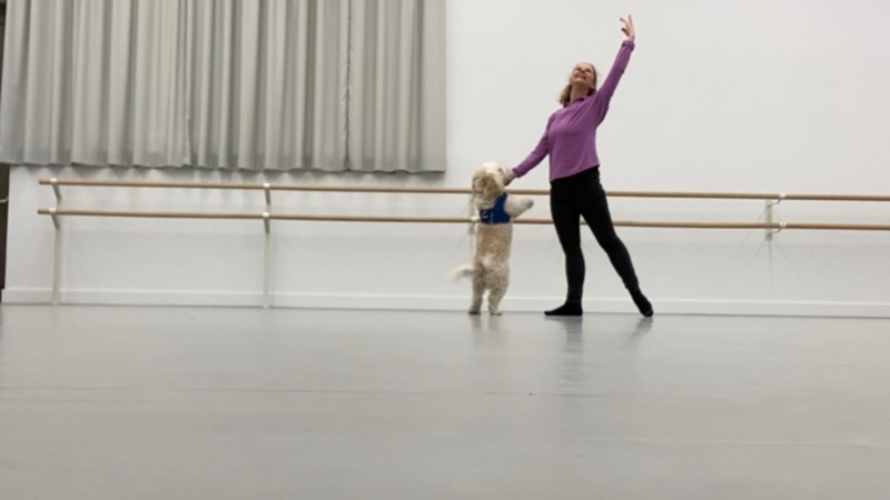 Melinda Traves is fundraising for Cancer Research UK