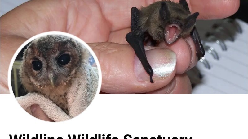 cover photo