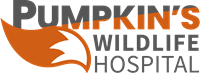 Pumpkin's Wildlife Hospital