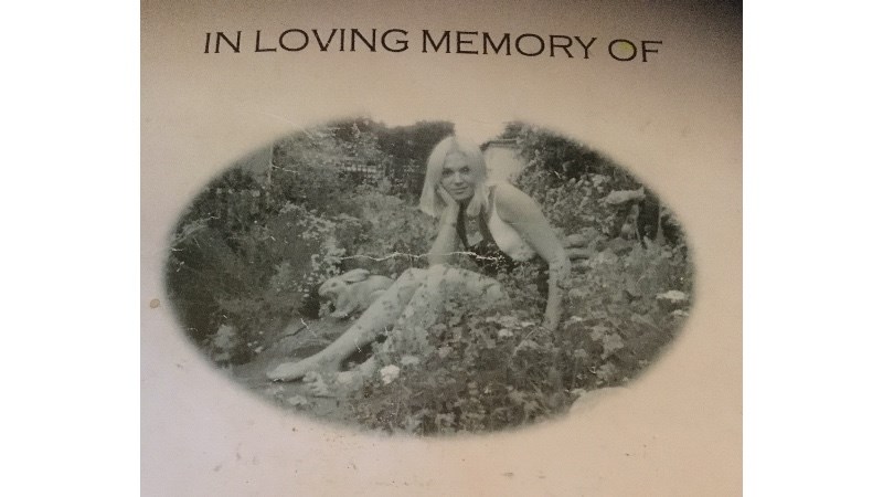 cover photo
