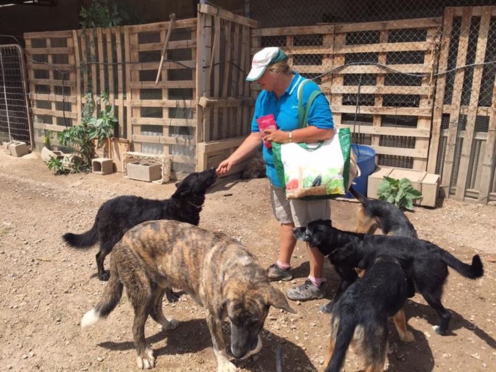 Crowdfunding to Build a permanent dog rescue centre in Tobarra Spain