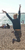 Fundraiser icon