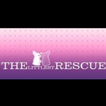 The Littlest Rescue