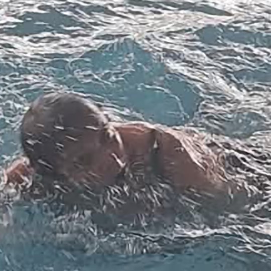 Beverley 's fundraising page