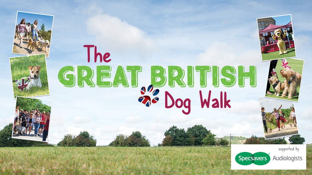 Dog sales walk 2019