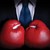Fundraiser icon