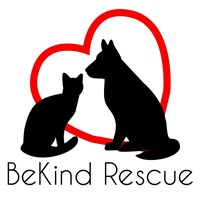 BeKind Rescue