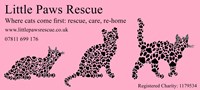 Little Paws Rescue